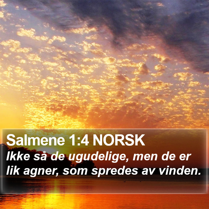 Salmene 1:4 NORSK Bible Study