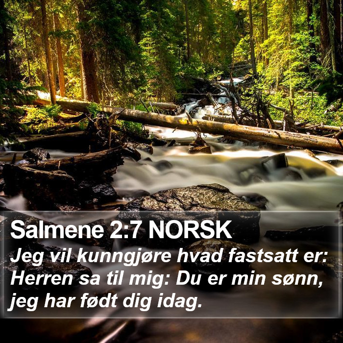 Salmene 2:7 NORSK Bible Study