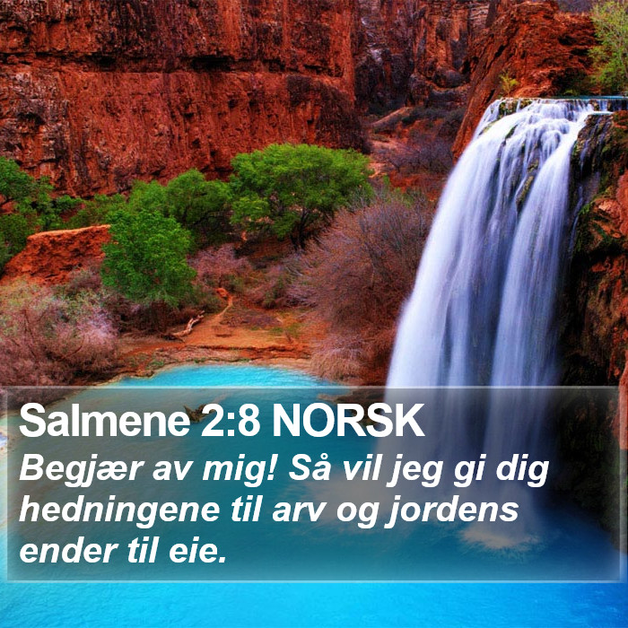 Salmene 2:8 NORSK Bible Study
