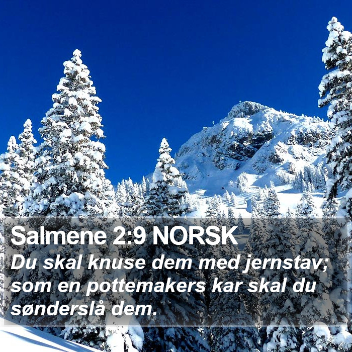 Salmene 2:9 NORSK Bible Study