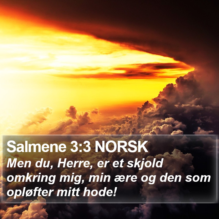 Salmene 3:3 NORSK Bible Study