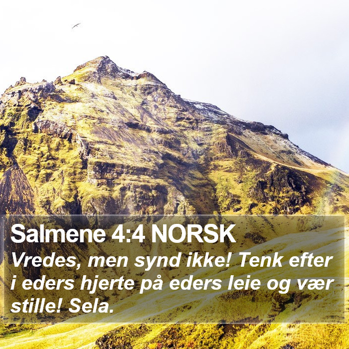 Salmene 4:4 NORSK Bible Study