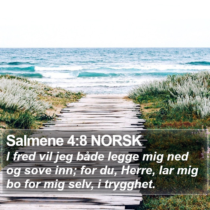 Salmene 4:8 NORSK Bible Study