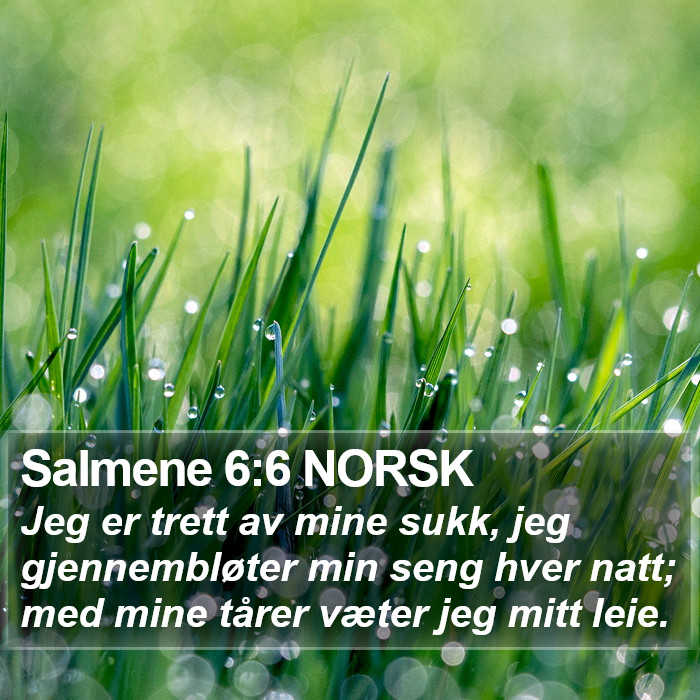 Salmene 6:6 NORSK Bible Study