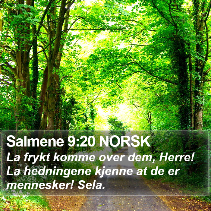 Salmene 9:20 NORSK Bible Study