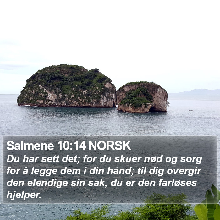 Salmene 10:14 NORSK Bible Study