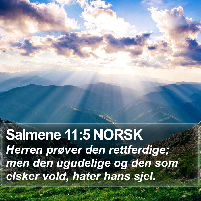 Salmene 11:5 NORSK Bible Study