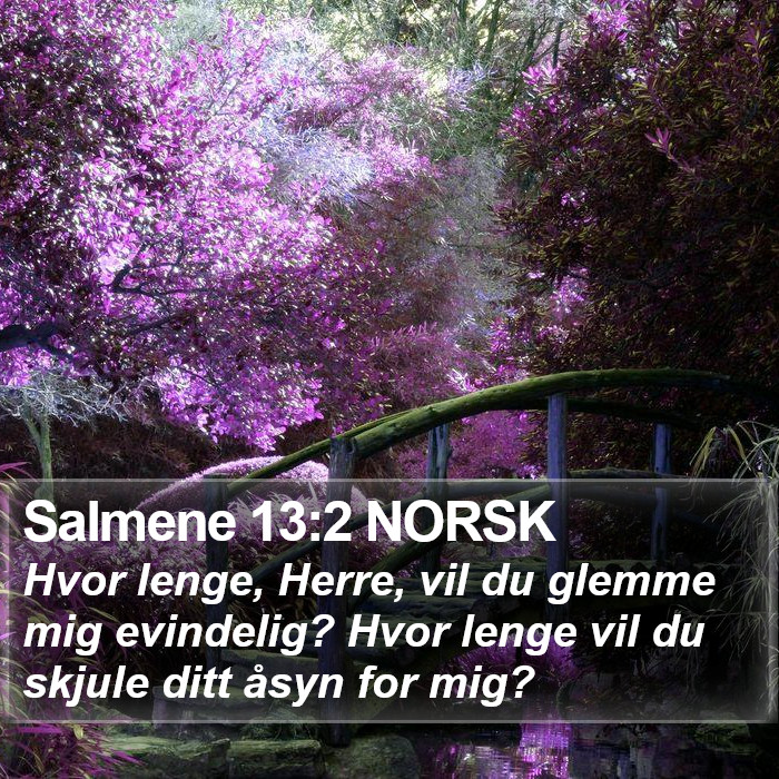 Salmene 13:2 NORSK Bible Study