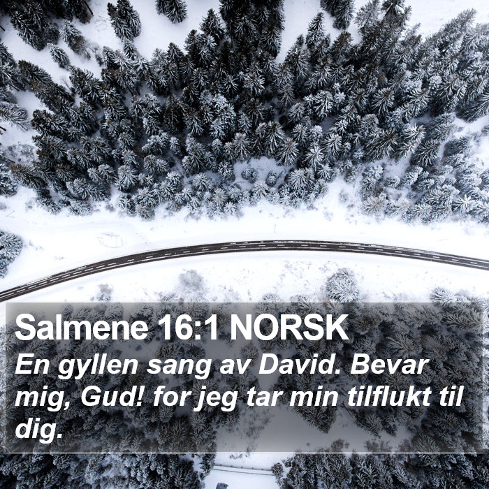 Salmene 16:1 NORSK Bible Study