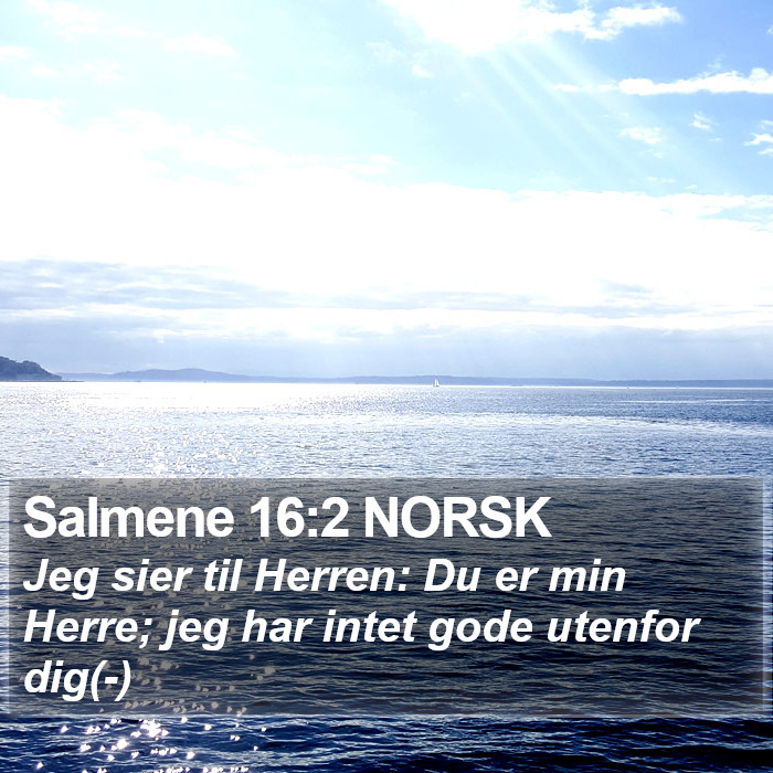 Salmene 16:2 NORSK Bible Study