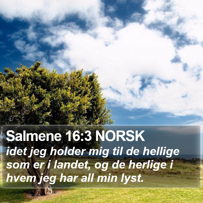 Salmene 16:3 NORSK Bible Study