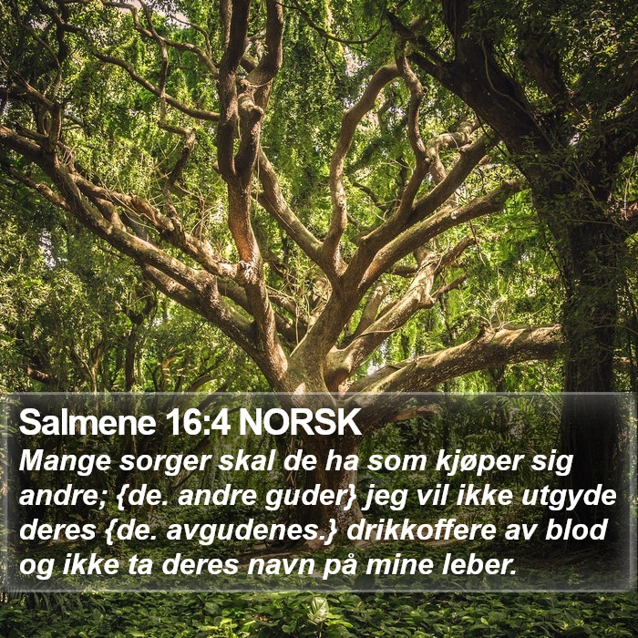 Salmene 16:4 NORSK Bible Study