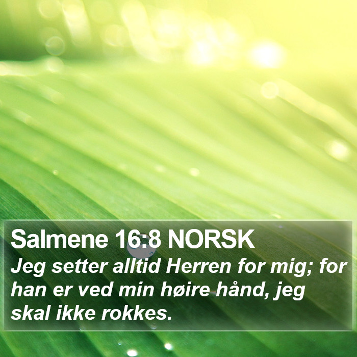 Salmene 16:8 NORSK Bible Study