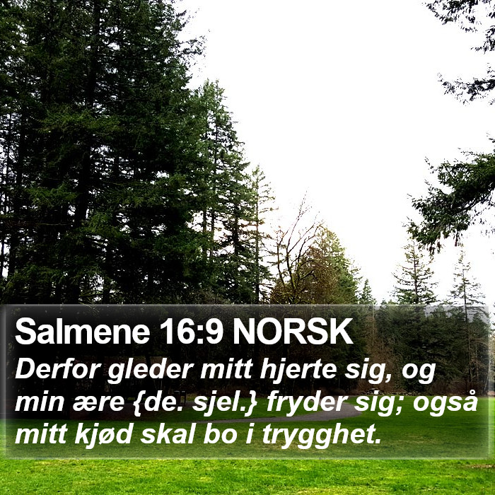 Salmene 16:9 NORSK Bible Study