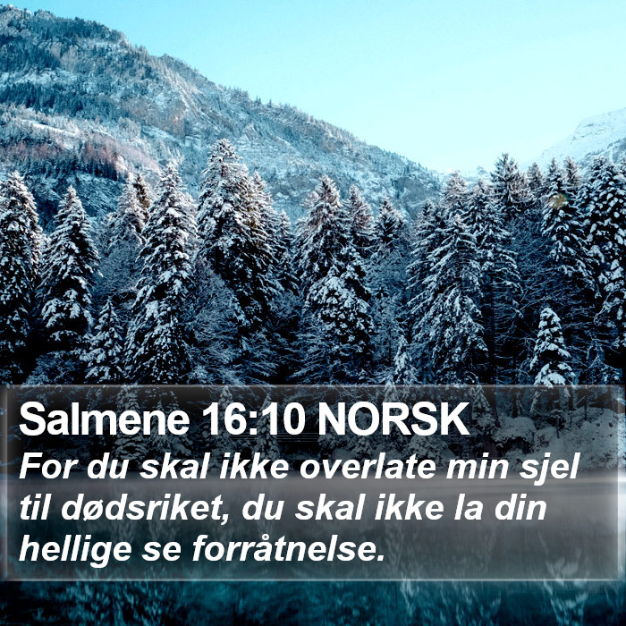 Salmene 16:10 NORSK Bible Study