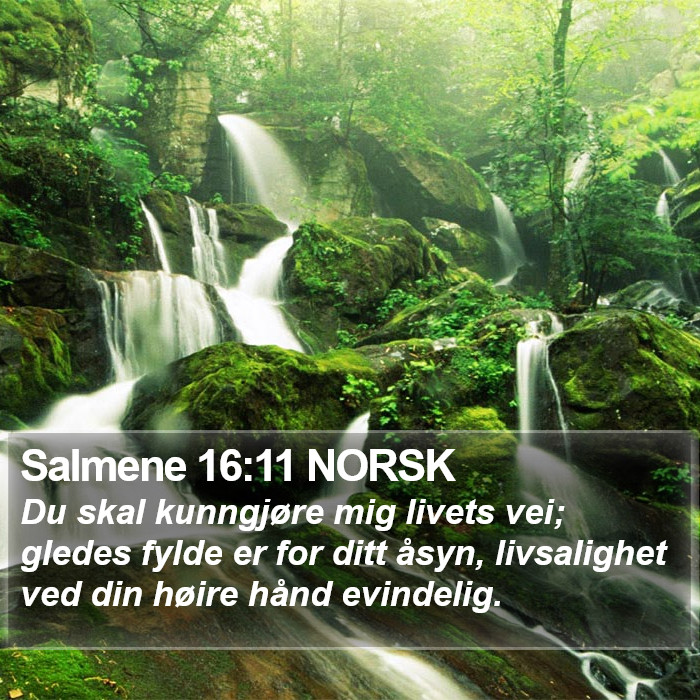 Salmene 16:11 NORSK Bible Study