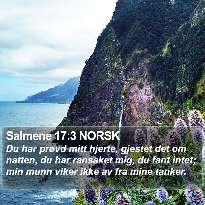 Salmene 17:3 NORSK Bible Study