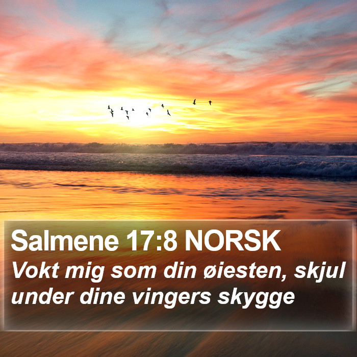 Salmene 17:8 NORSK Bible Study