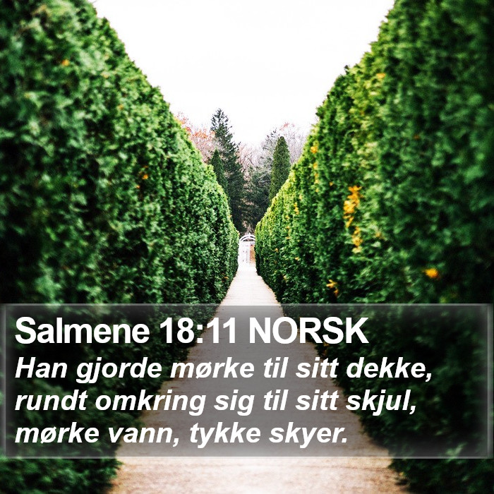 Salmene 18:11 NORSK Bible Study
