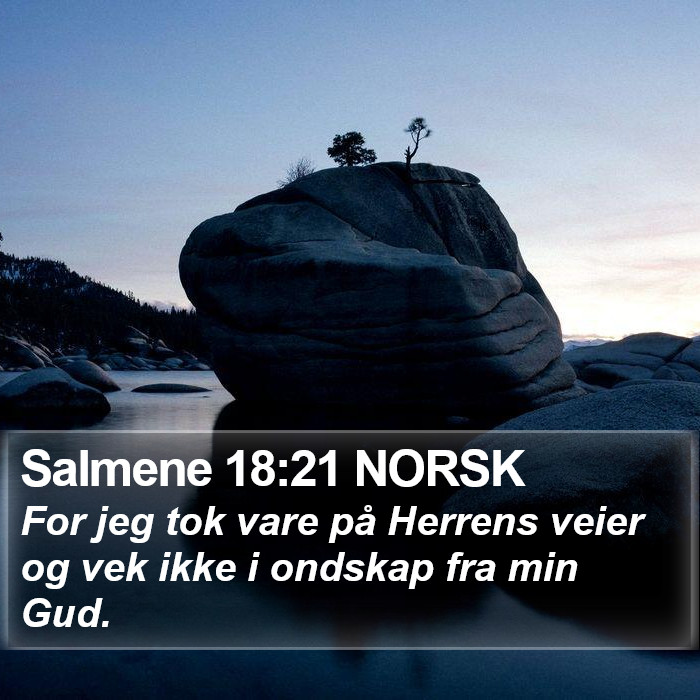 Salmene 18:21 NORSK Bible Study