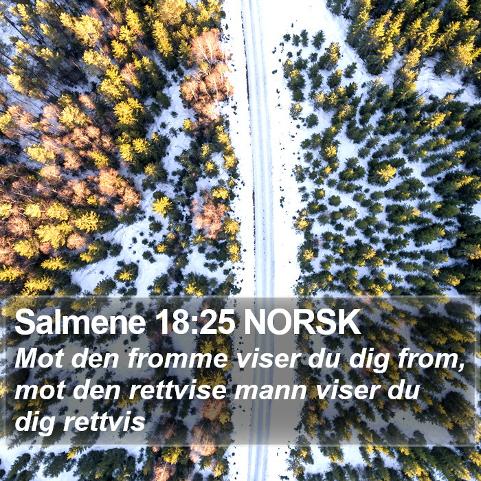 Salmene 18:25 NORSK Bible Study