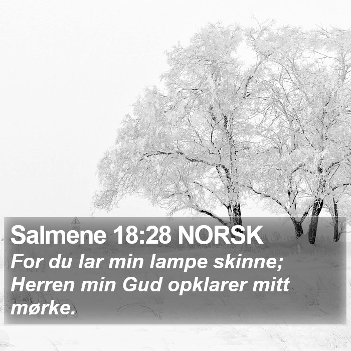 Salmene 18:28 NORSK Bible Study