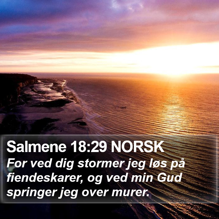 Salmene 18:29 NORSK Bible Study