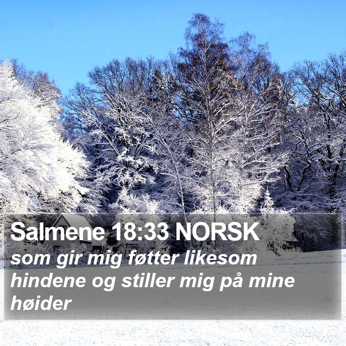 Salmene 18:33 NORSK Bible Study