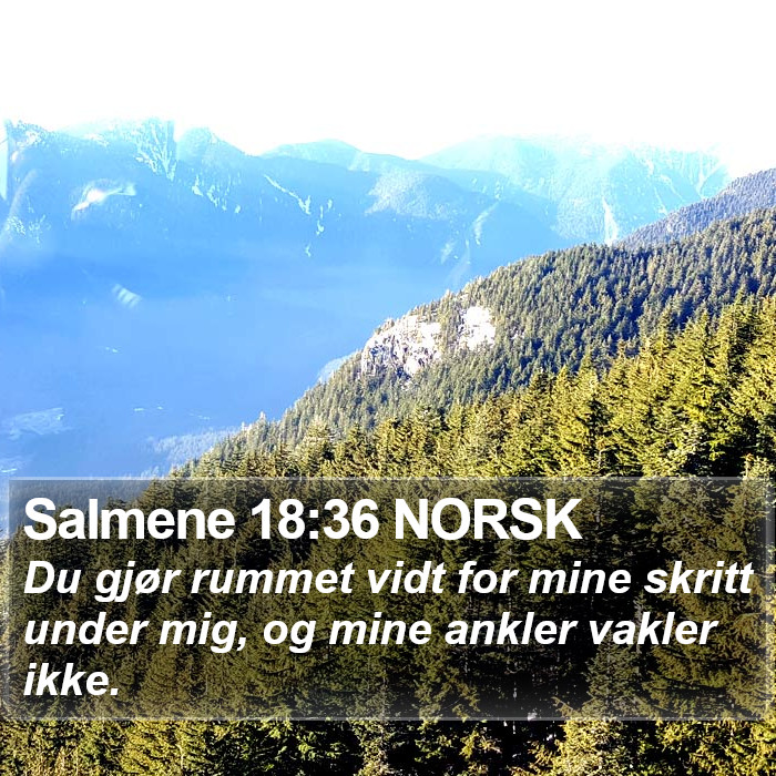 Salmene 18:36 NORSK Bible Study