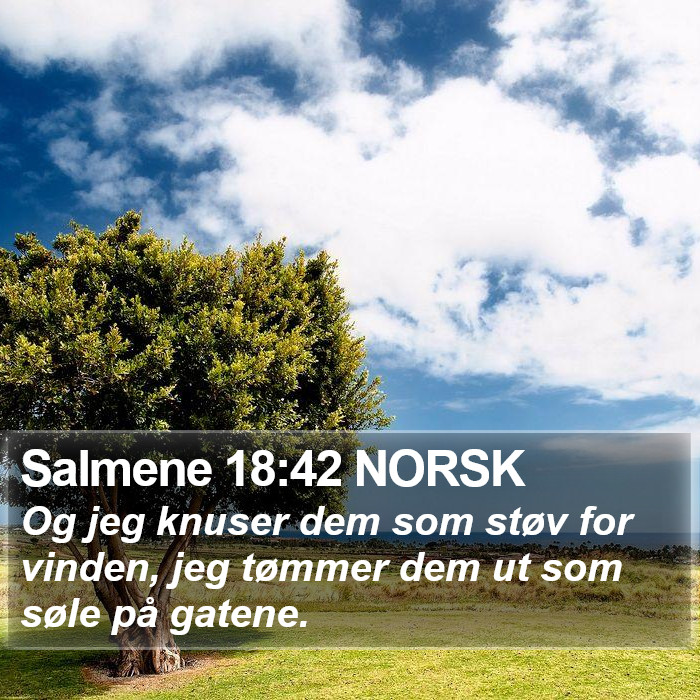 Salmene 18:42 NORSK Bible Study