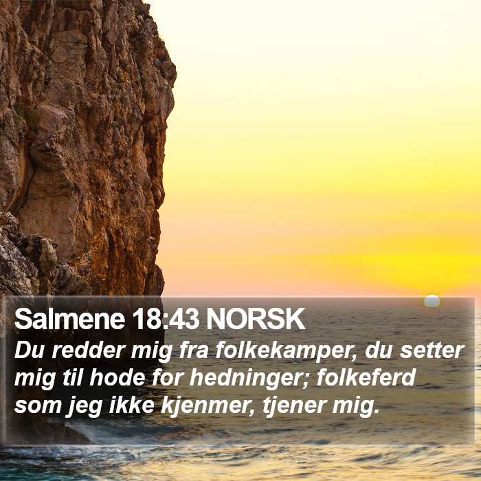 Salmene 18:43 NORSK Bible Study