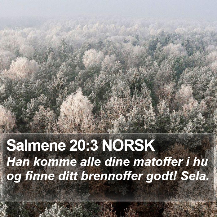 Salmene 20:3 NORSK Bible Study