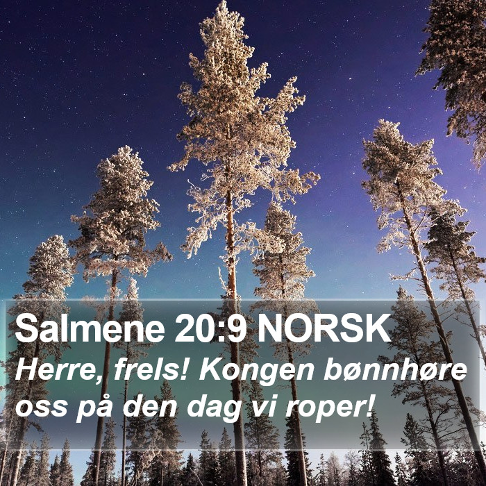 Salmene 20:9 NORSK Bible Study