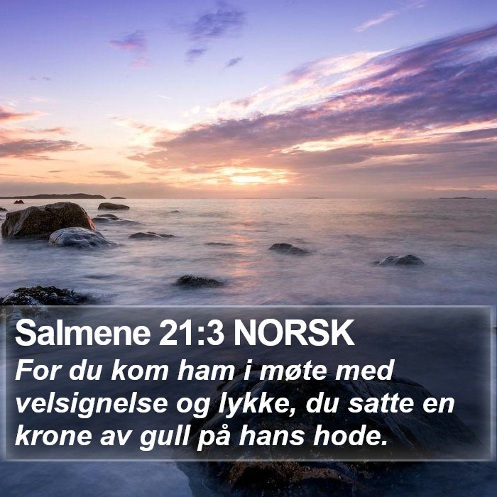 Salmene 21:3 NORSK Bible Study