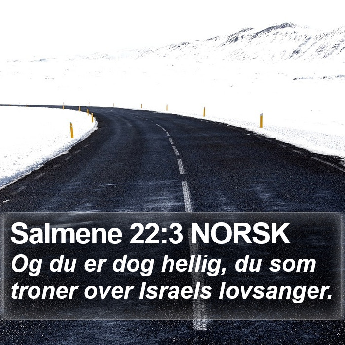 Salmene 22:3 NORSK Bible Study