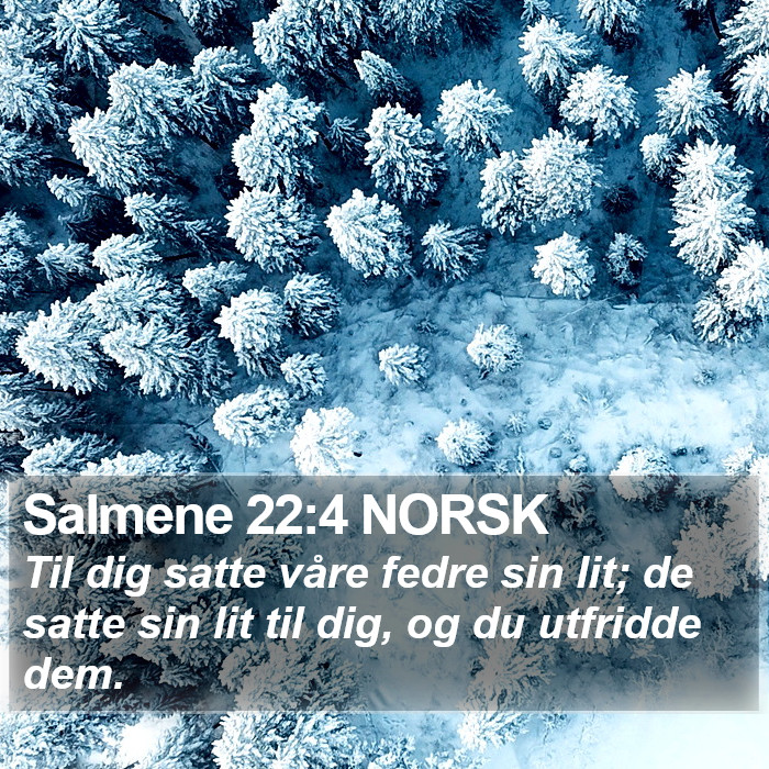 Salmene 22:4 NORSK Bible Study