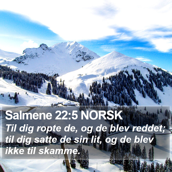 Salmene 22:5 NORSK Bible Study