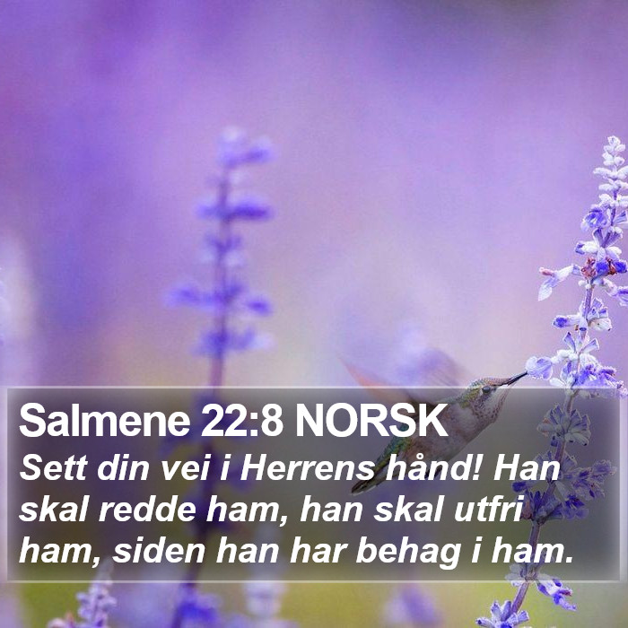 Salmene 22:8 NORSK Bible Study