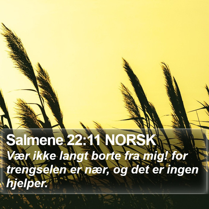 Salmene 22:11 NORSK Bible Study