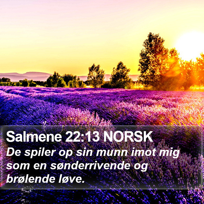 Salmene 22:13 NORSK Bible Study