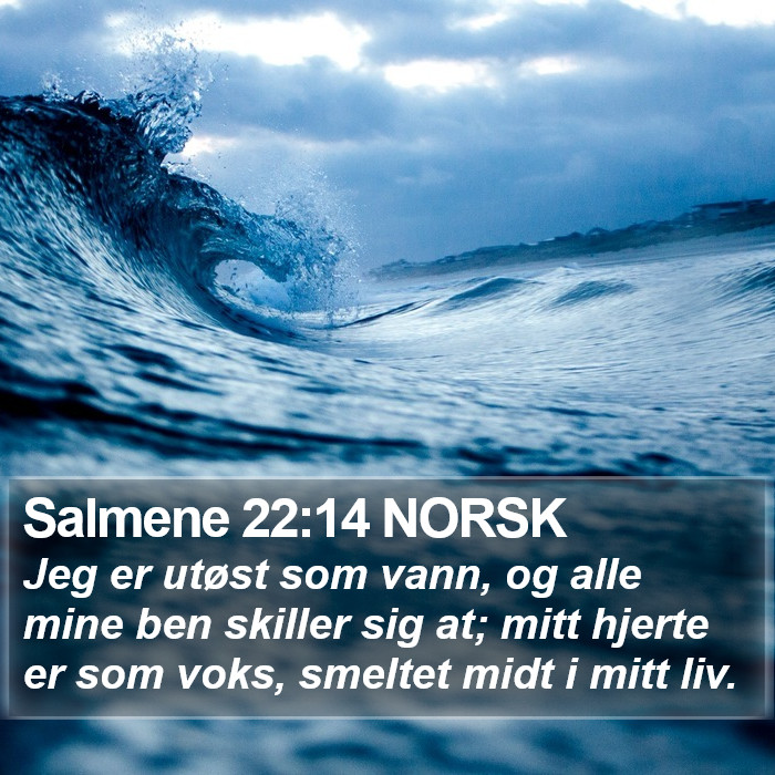 Salmene 22:14 NORSK Bible Study