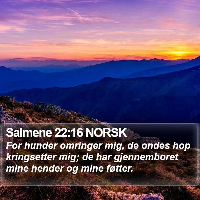 Salmene 22:16 NORSK Bible Study