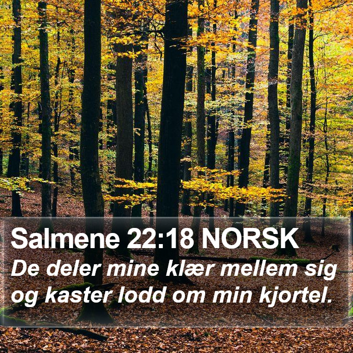 Salmene 22:18 NORSK Bible Study