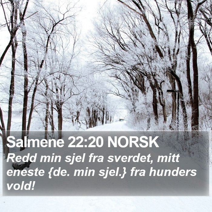 Salmene 22:20 NORSK Bible Study