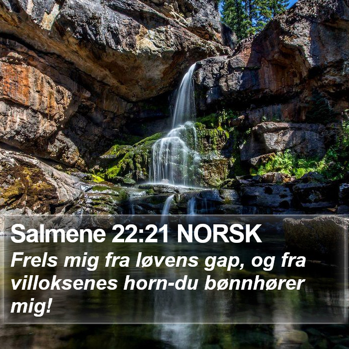 Salmene 22:21 NORSK Bible Study