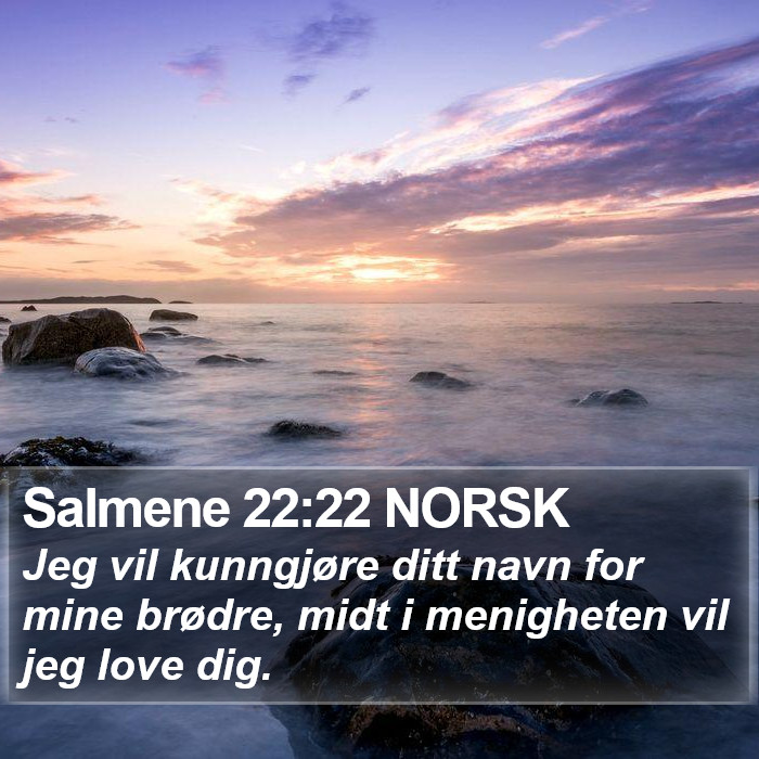 Salmene 22:22 NORSK Bible Study