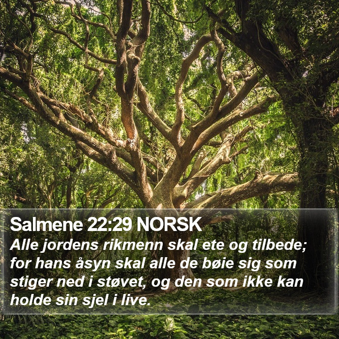 Salmene 22:29 NORSK Bible Study