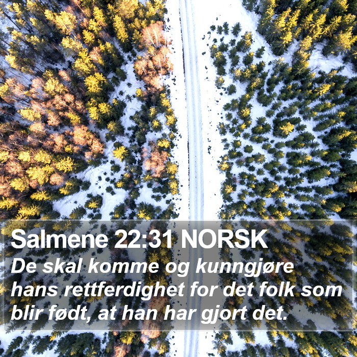 Salmene 22:31 NORSK Bible Study