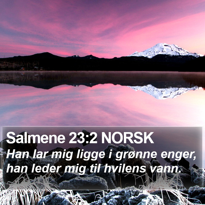 Salmene 23:2 NORSK Bible Study