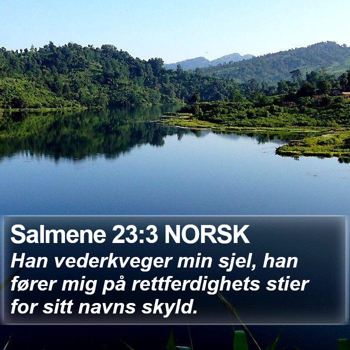 Salmene 23:3 NORSK Bible Study